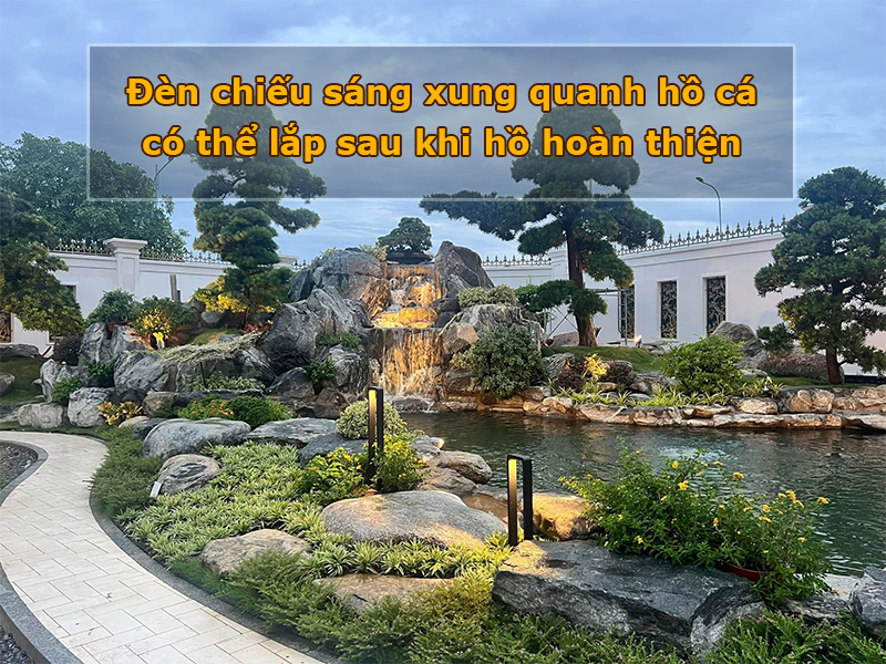 Đèn chiếu sáng xung quanh hồ cá – có thể lắp sau