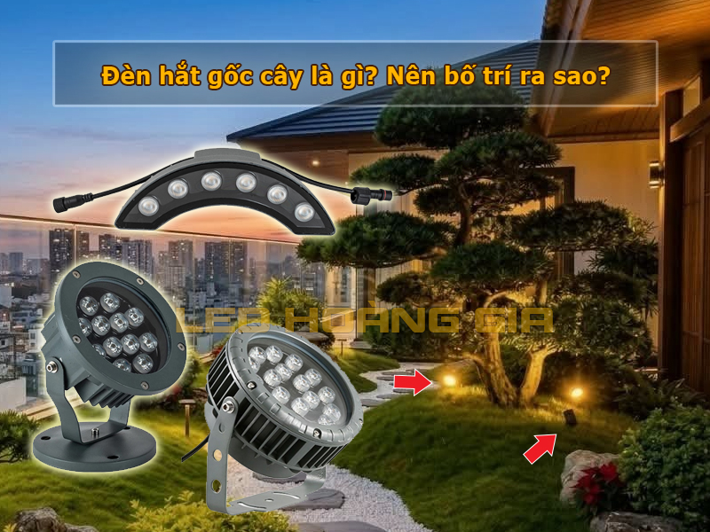 Đèn hắt gốc cây là gì? Nên bố trí ra sao?