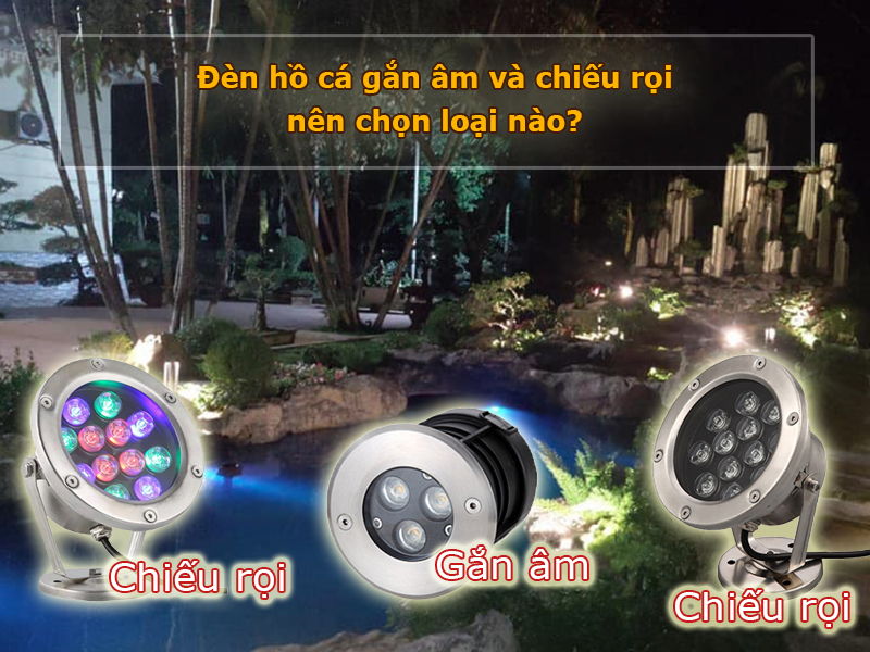 Đèn hồ cá gắn âm và chiếu rọi nên chọn loại nào?