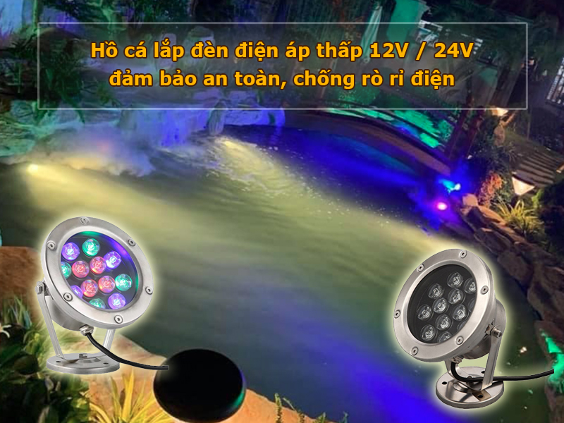 Đèn hồ cá sử dụng điện áp thấp an toàn, chống rò rỉ điện