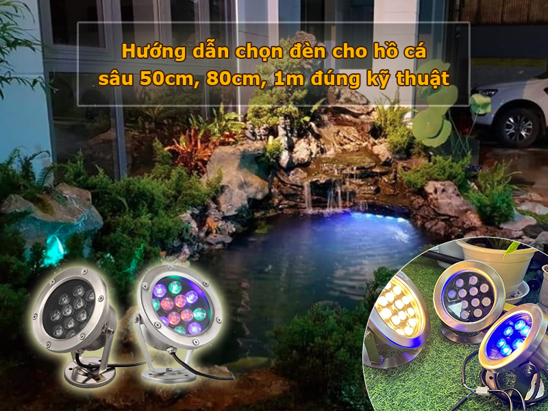 Hướng dẫn chọn đèn cho hồ cá sâu 50cm, 80cm, 1m đúng kỹ thuật