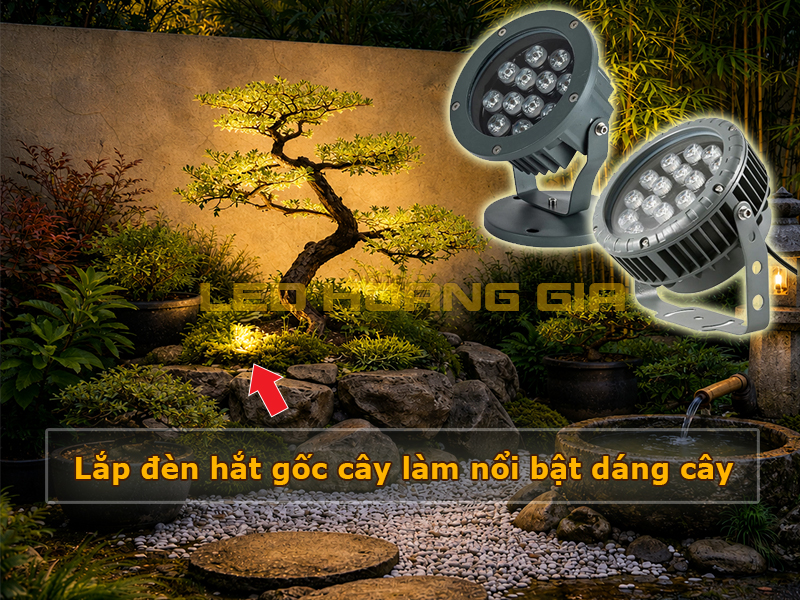 Lắp đèn hắt gốc cây làm nổi bật dáng cây