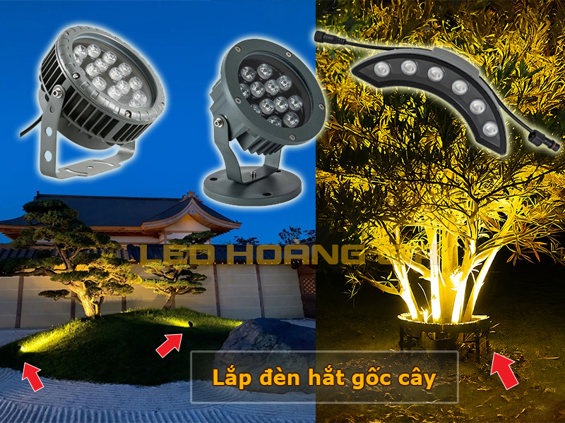 Lắp đèn hắt gốc cây