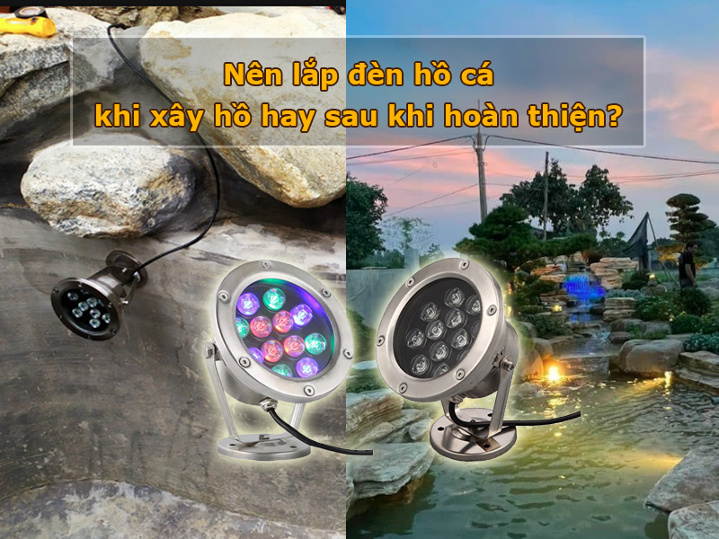 Nên lắp đèn hồ cá khi xây hồ hay sau khi hoàn thiện?