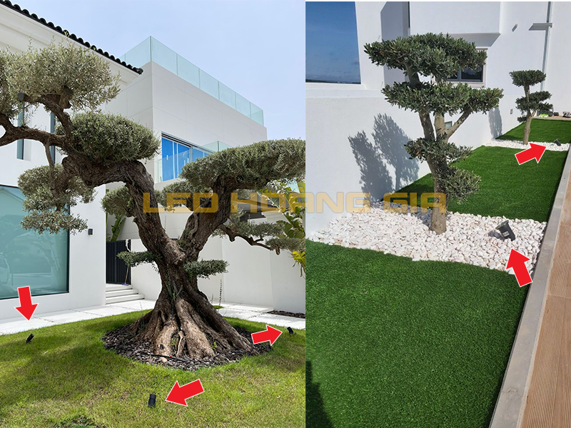 Sân vườn lắp đèn led chiếu cây Spotlight chiếu cây bonsai