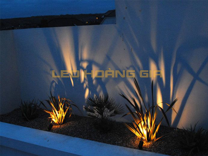 Cây trồng sát tường rào lắp đèn Spotlight